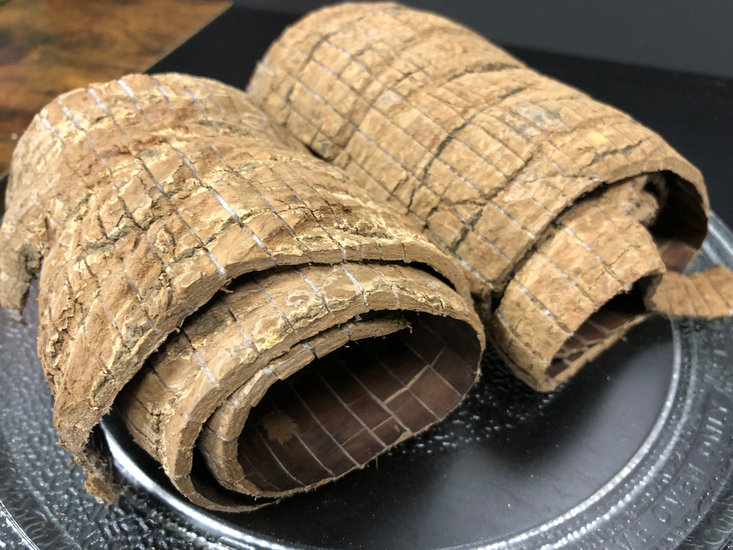 杜仲 Eucommia Bark 100g