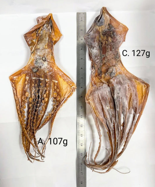 大章魚乾 Dried Octupus
